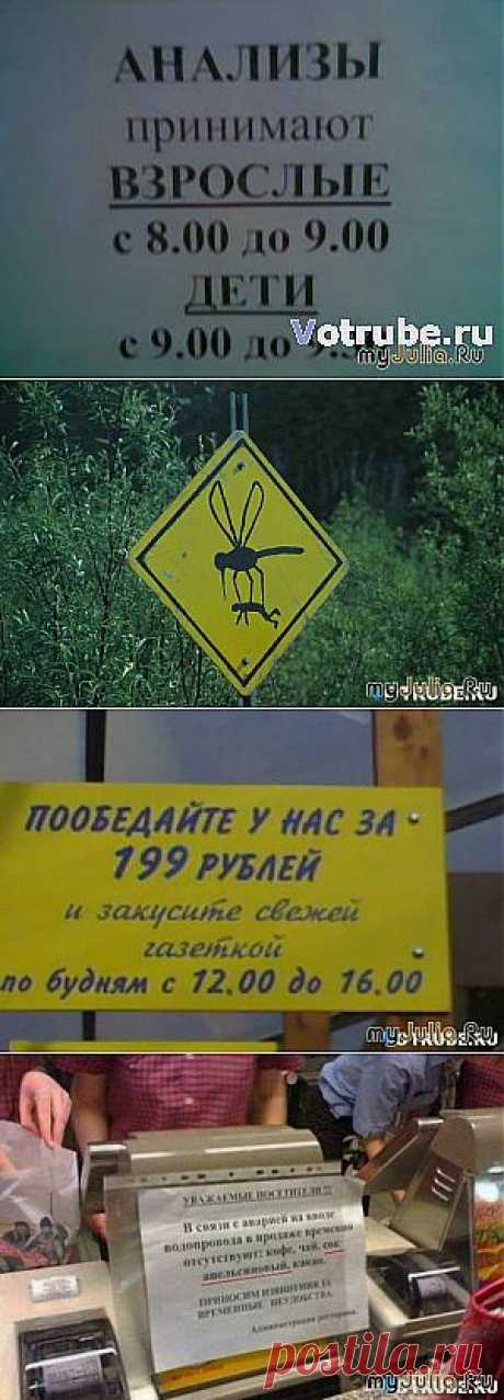 И опять он подкрался... :): Дневник пользователя Skarlet: Дневники - женская социальная сеть myJulia.ru