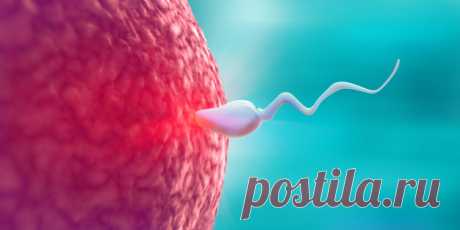 Es kommt vor, dass die Eizelle einer Frau nicht lebensfähig oder einfach nicht für die Empfängnis geeignet ist, dann können Sie eine Spendereizelle für die Empfängnis verwenden.