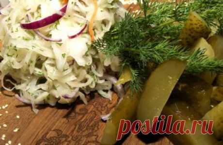 Как квасить и солить без ошибок? | Дачная кухня (Огород.ru)