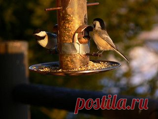 Keeping lookup | Flickr - Photo Sharing!
