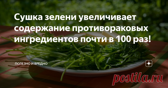 Сушка зелени увеличивает содержание противораковых ингредиентов почти в 100 раз!