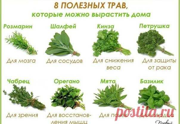 Фотографии на стене сообщества – 49 468 фотографий | ВКонтакте