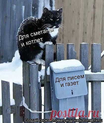 почту жду...