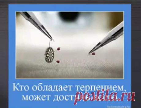 Личный блог Останиной Елены