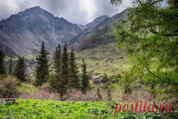 Конец мая в ущелье Ала-Арча (Киргизия). Снимала Элина Магалимова: nat-geo.ru/community/user/21117