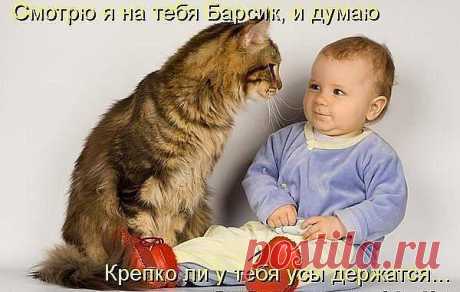 Новости