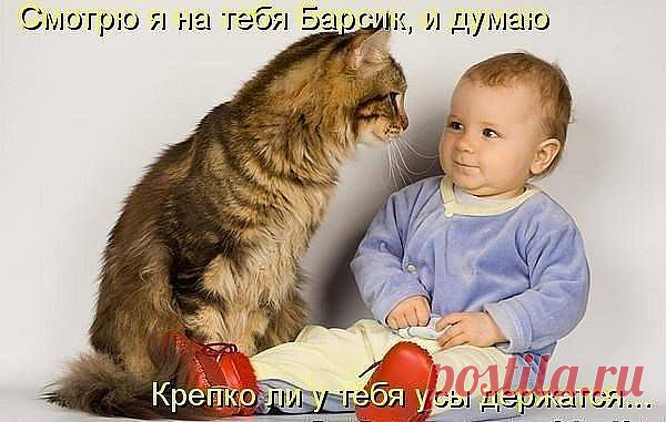 Новости