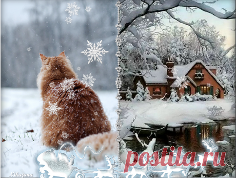 В гостях у НИНОК.