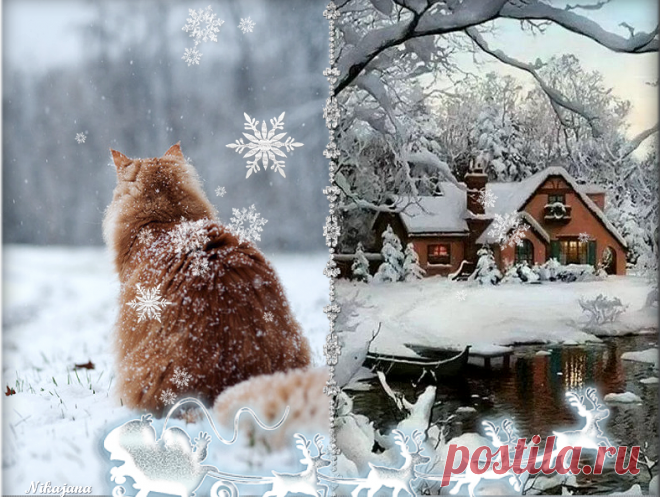 В гостях у НИНОК.