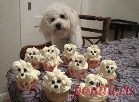 Share FUN Media and Get Paid The ACX Media Xchange system rewards you for what you enjoy doing - having FUN watching videos, listening to music and viewing photos!