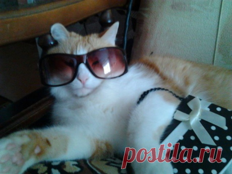 Показ мод от Юдашкина. Вот пошла...