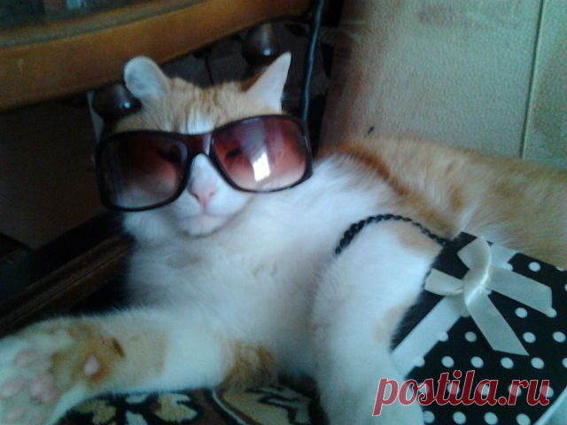 Показ мод от Юдашкина. Вот пошла...