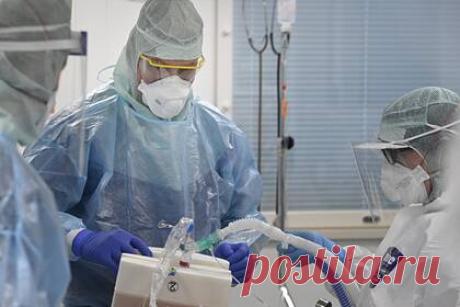 Человечеству предсказали новые эпидемии из-за климата. Глобальное потепление может привести к возникновению новых эпидемий в мире. Такое развитие событий предсказала кандидат биологических наук и паразитолог Мария Орлова. По ее словам, из-за изменения климата переносчики возбудителей опасных заболеваний могут начать мигрировать на Север, в том числе в Россию.