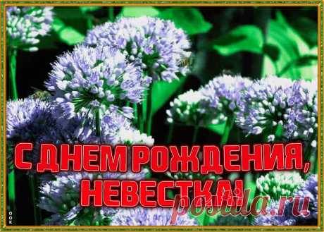 Картинка с днем рождения невестке с анимацией - прикольное онлайн поздравление. Оригинальная анимационная открытка с днем рождения для невестки, скачать сейчас.