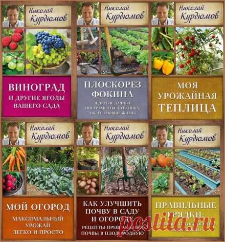 Дачная школа Николая Курдюмова в 19 книгах (FB2) "Дачная школа Николая Курдюмова" - новая серия книг Николая Курдюмова, самого известного популяризатора органического земледелия – долгожданный подарок для миллионов поклонников садового мастера, как он сам себя называет. В данной серии книг вы найдете как материалы из уже полюбившихся