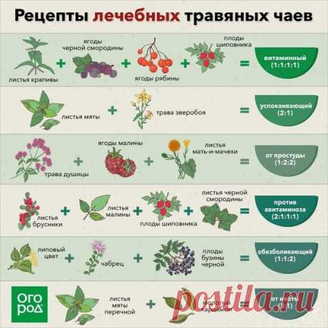 Огород.ru — Разное | OK.RU