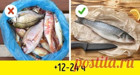 Как сохранить рыбу свежей надолго