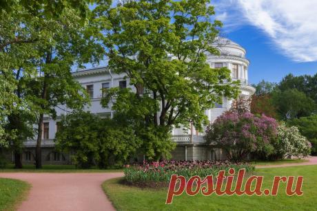 Елагин дворец. Вспоминая ушедшее лето :: Евгений  – Социальная сеть ФотоКто Июнь 2021 г.