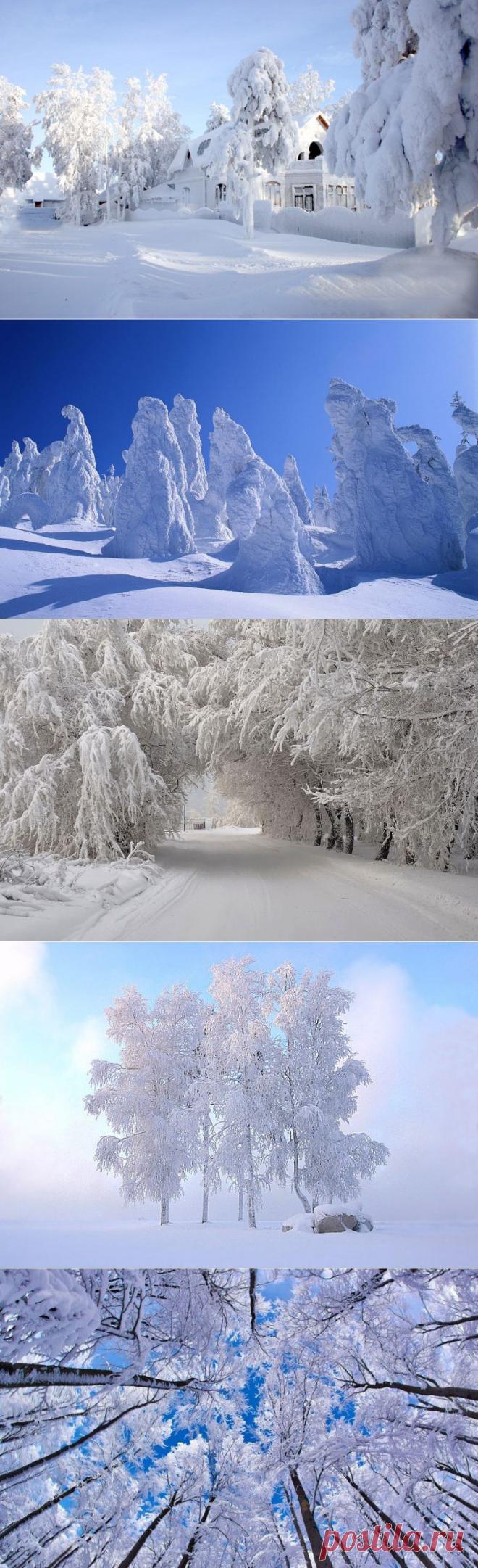 Невероятная зима / Туристический спутник