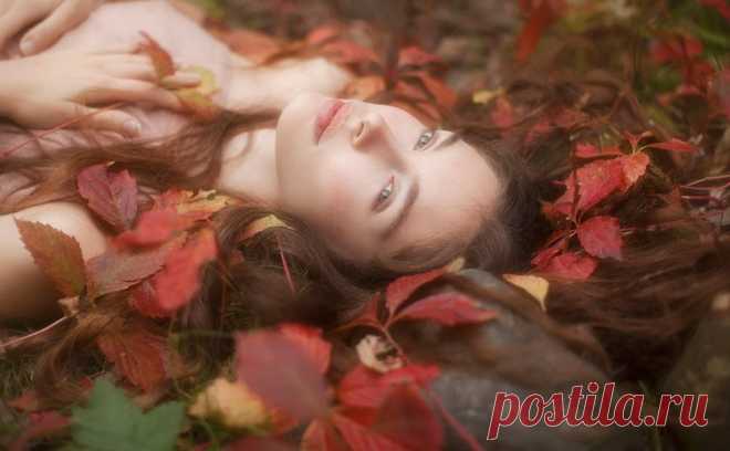 РОМАНТИКА В ПОТРЯСАЮЩИХ РАБОТАХ ВИВЬЕН МОК
 Фотоработы Вивьен Мок считаются самыми художественно профессиональными. В них очень грамотно всегда подобрана тема и изображения образа. В данном случае мы подобрали работы по женской тематике. В них отображена женственность и красота. Образ женщины в своих работах очень эротичен и красив во всех своих проявлениях. Его художественные фотографии очень благородны в своём оформлении и очень поразительны. Раскрывающие красоту женщины в нашем Мире.