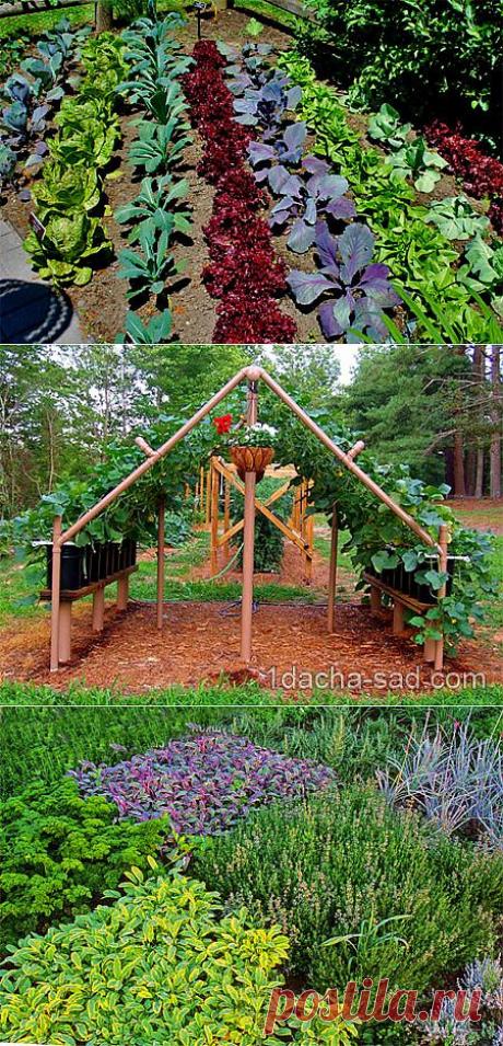 Красивый огород своими руками — как сделать красивые грядки (11 фото-идей).