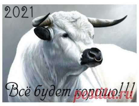 Выбираем талисманы и камни в год Белого Металлического Быка. - медиаплатформа МирТесен Астрологи убеждены, что можно привлечь удачу и счастье, если в преддверии Нового года приобрести амулеты с соответствующей символикой. Сейчас самое время узнать, какие амулеты нужно взять с собой в Новый 2021 год. 2021 год – год Быка. Покровитель 2021 года благородный, мудрый, спокойный, волевой и