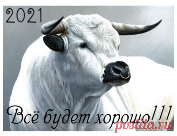 Выбираем талисманы и камни в год Белого Металлического Быка. - медиаплатформа МирТесен Астрологи убеждены, что можно привлечь удачу и счастье, если в преддверии Нового года приобрести амулеты с соответствующей символикой. Сейчас самое время узнать, какие амулеты нужно взять с собой в Новый 2021 год. 2021 год – год Быка. Покровитель 2021 года благородный, мудрый, спокойный, волевой и