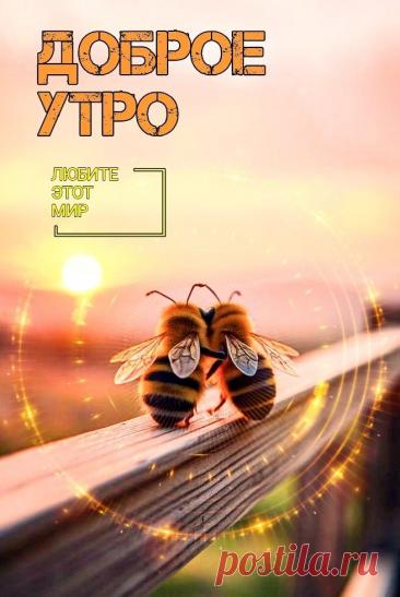 Доброе утро