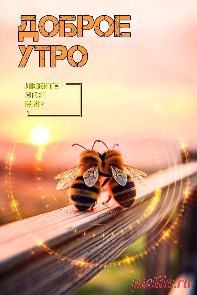 Доброе утро