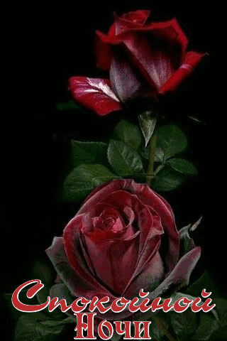 Спокойной  ночи