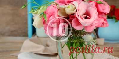 Ніщо так не прикрашає кімнату і не пахне так приємно, як свіжі квіти. У цій статті ви знайдете 10 порад, як продовжити життя свіжозрізаних квітів набагато довше.