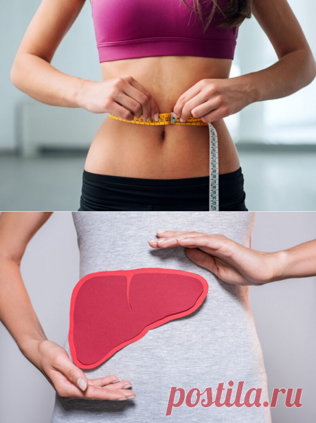 При снижении веса нужно защищать печень и вот почему / Будьте здоровы