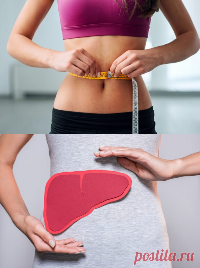 При снижении веса нужно защищать печень и вот почему / Будьте здоровы