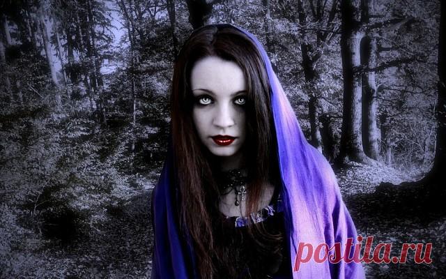 Заговор чтобы соседи не вредили, не шумели 

От шумных соседей, если не помогают уговоры, защитит заговор:

«Как человек не может без еды,
так и соседи – без тишины.
Пусть тишина воцарится,
а шум в углу затаится.
Да будет так!»
Заговор чтоб соседи боялись, отстали

Ставьте на ночь в укромный уголок своего дома блюдечко с угощеньем для домового, приговаривая:

«Вот тебе угощение,
за заботу вознаграждение.
Храни наш дом и дале,
Чтоб не знать ни бед, ни печали.
А кто зла поже...