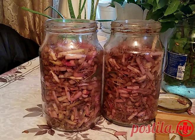 Мама не могла встать на ноги от боли, пока не узнала уникальный рецепт восстановления суставов | Просто о здоровье | Яндекс Дзен