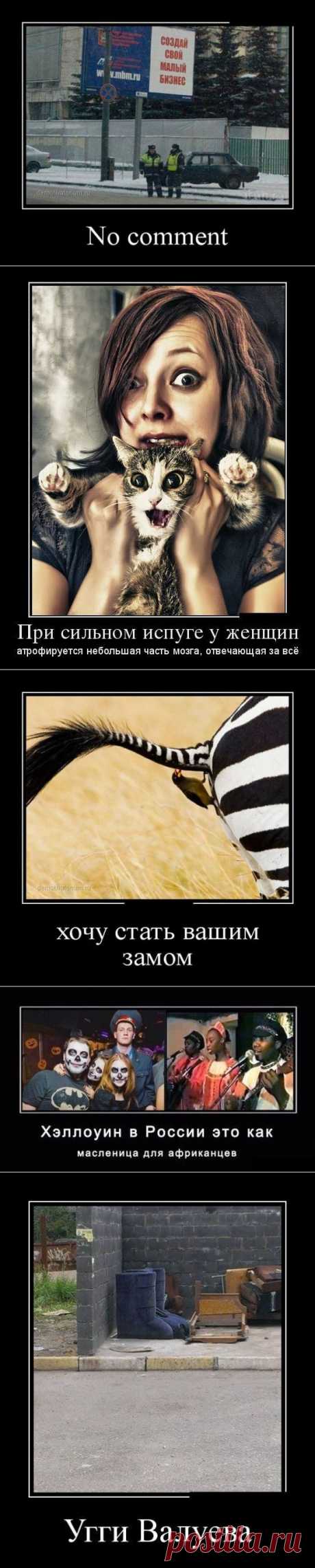Демотиваторы. Уморительно! / Писец - приколы интернета