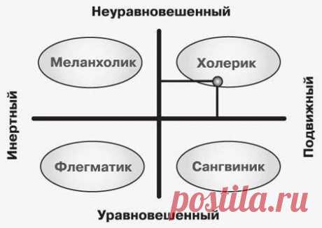 Выбор профессии по темпераменту | Банки РФ