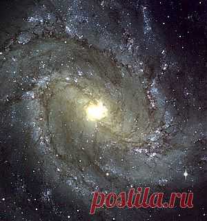 Свастика: мифы и реальность | Иная реальность
