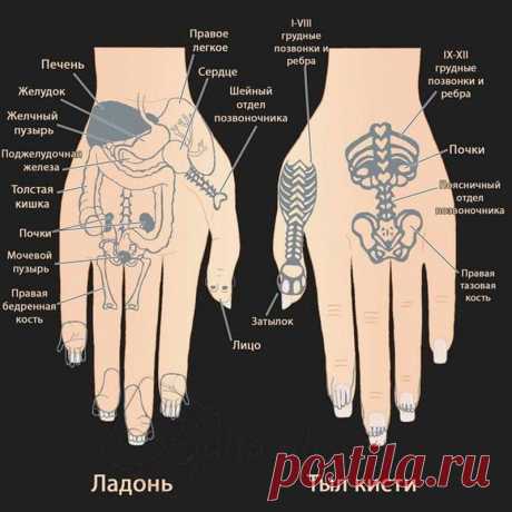 (101) Наслаждаться здоровьем