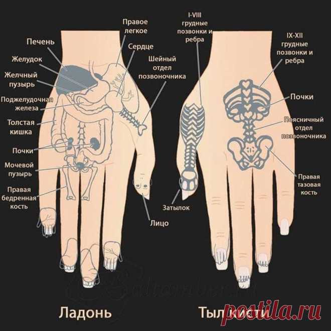 (101) Наслаждаться здоровьем