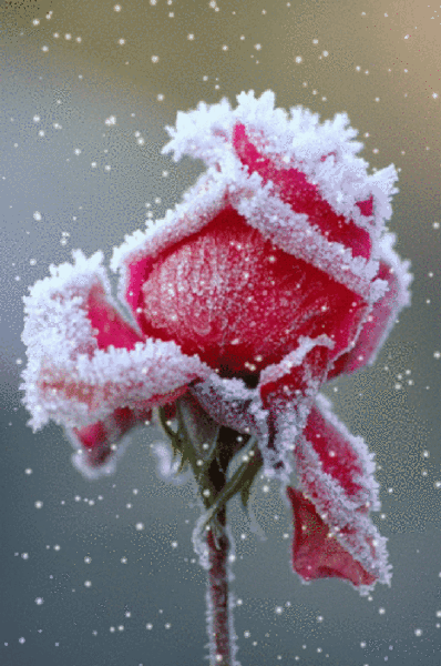 3D gallery - 7 фото. Фотографии Виктор Афонин.