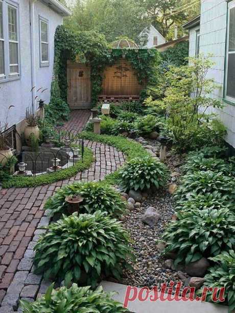 Озеленение заднего дворика.