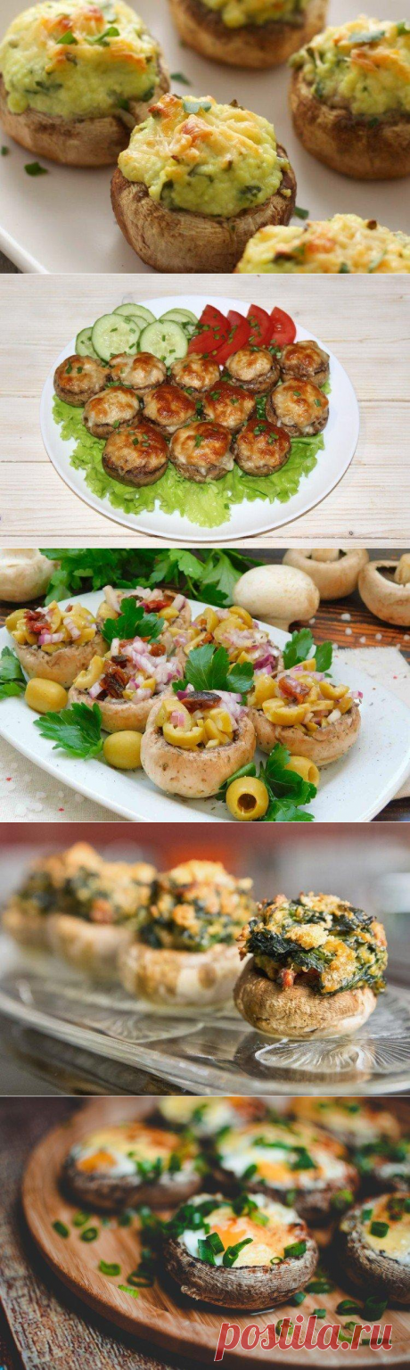 15 рецептов очень вкусных фаршированных шампиньонов в духовке