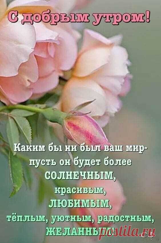 Фотоальбом Разное группы Поздравление друзей 