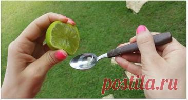 Сок 1 лимона и 1 ложка оливкового масла и ВЫ НИКОГДА НЕ прекратите применять это средство !!! — Journal women❜s