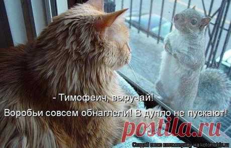 Интересные новости