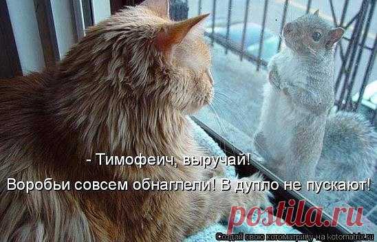 Интересные новости