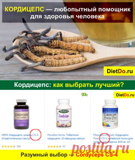 Кордицепс: инструкция по применению, цена и отзывы