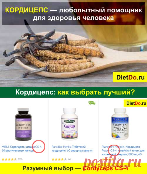 Кордицепс: инструкция по применению, цена и отзывы
