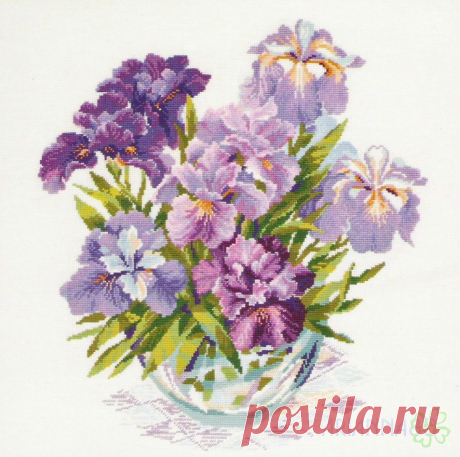 Ирисы  
